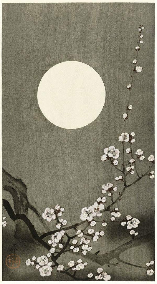 Blooming plum blossom at full moon (1900-1936) by Ohara Koson
