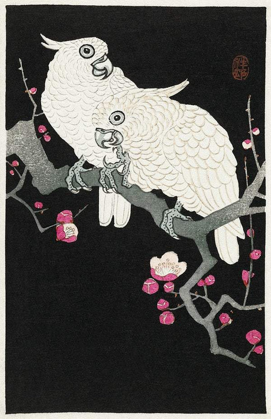 Two cockatoo and plum blossom (1925 - 1936) by Ohara Koson