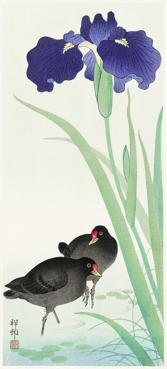 Waterhoots and iris (1925 - 1936) by Ohara Koson (