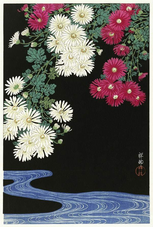 Chrysanthemums (1925-1936) by Ohara Koson