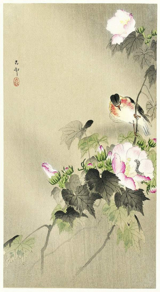 Bird and caterpillar (1900 - 1930) by Ohara Koson