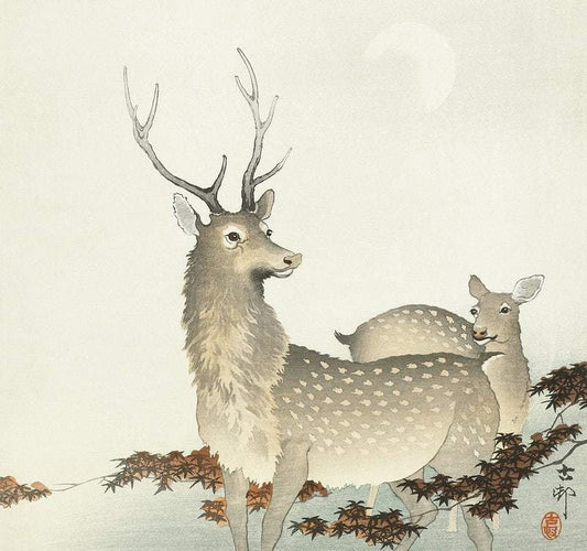 Couple of deers (1900 - 1930) by Ohara Koson