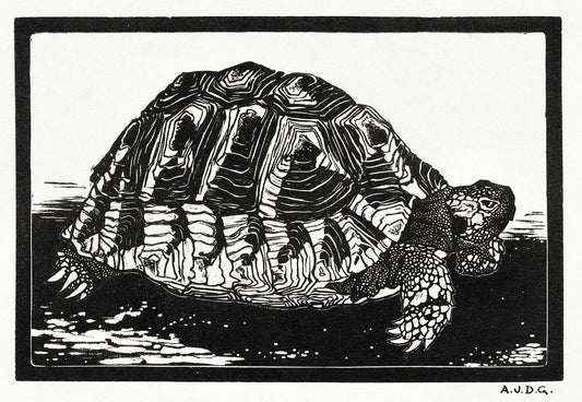 Turtle by Julie de Graag
