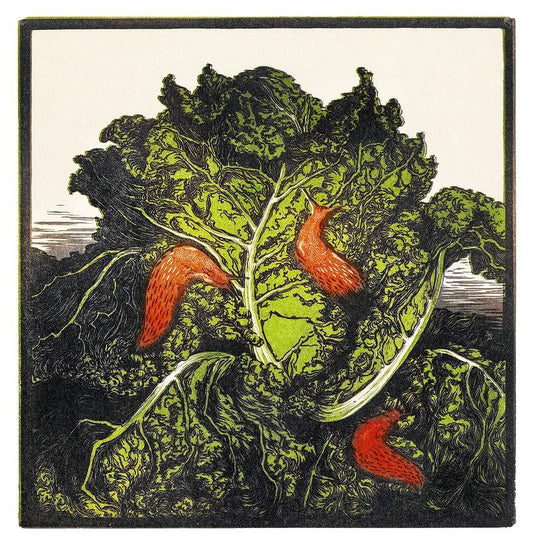 Three slugs on a cabbage by Julie de Graag