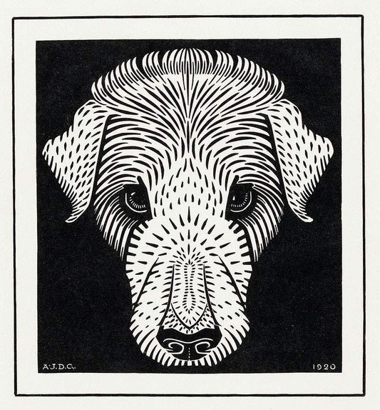 Dog's head (1920) by Julie de Graag