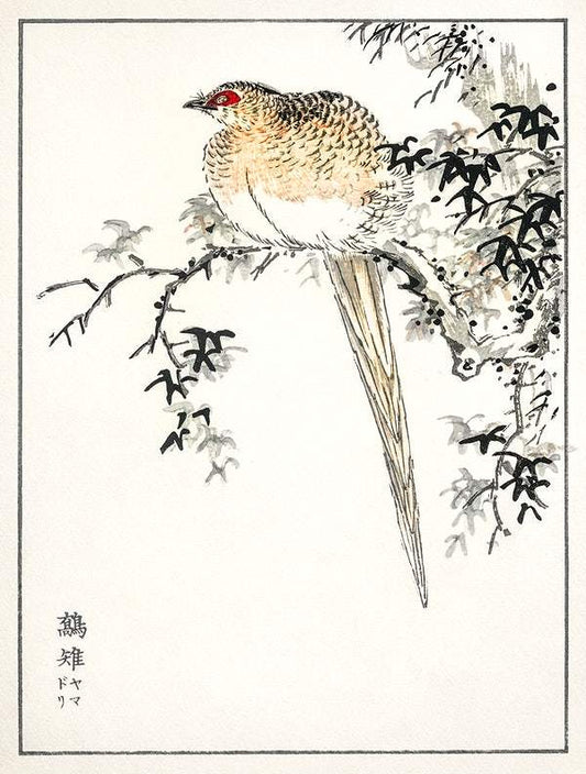 Hondo Copper Pheasant (1885) by Numata Kashu