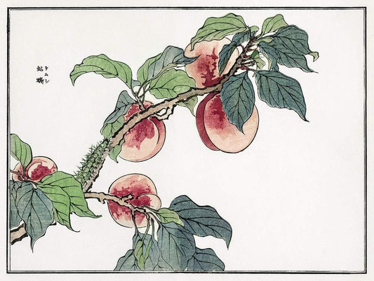 Caterpillar on a peach tree by Morimoto Toko (1910)