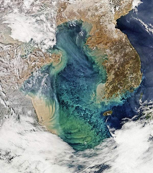Yellow Sea by NASA