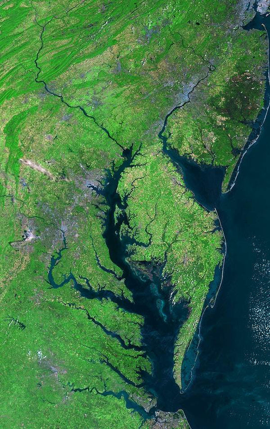 Chesapeake Bay by NASA