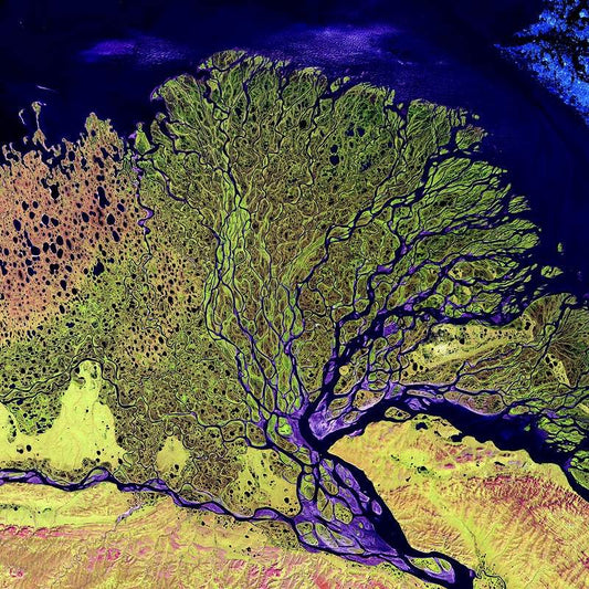 The Lena River Delta by NASA