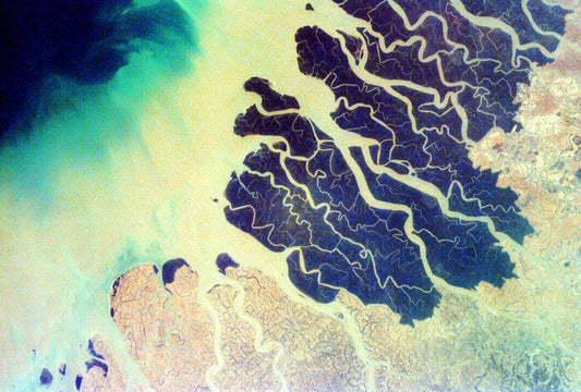Ganges delta by NASA