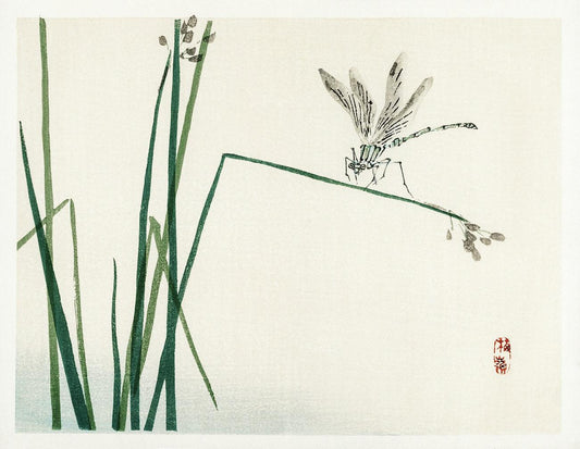 Dragonfly on Bulrush leaf (1913) by Kōno Bairei