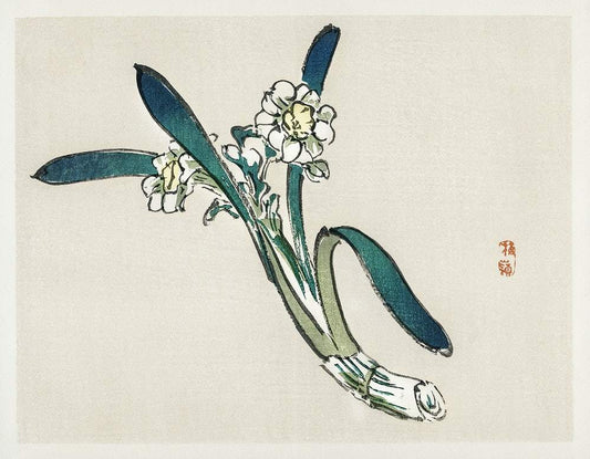 Bunchflower Daffodil by Kōno Bairei (1913)