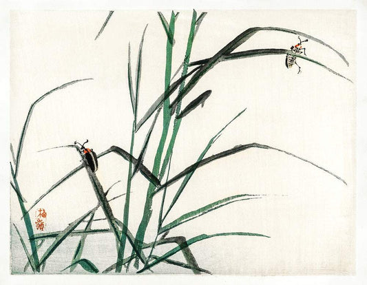Beetles by Kōno Bairei (1913)