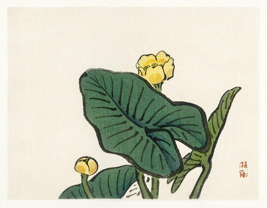 Water-lily by Kōno Bairei (1913)
