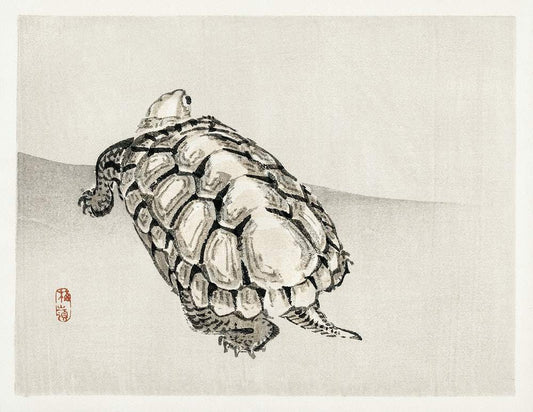 Turtle by Kōno Bairei (1913)