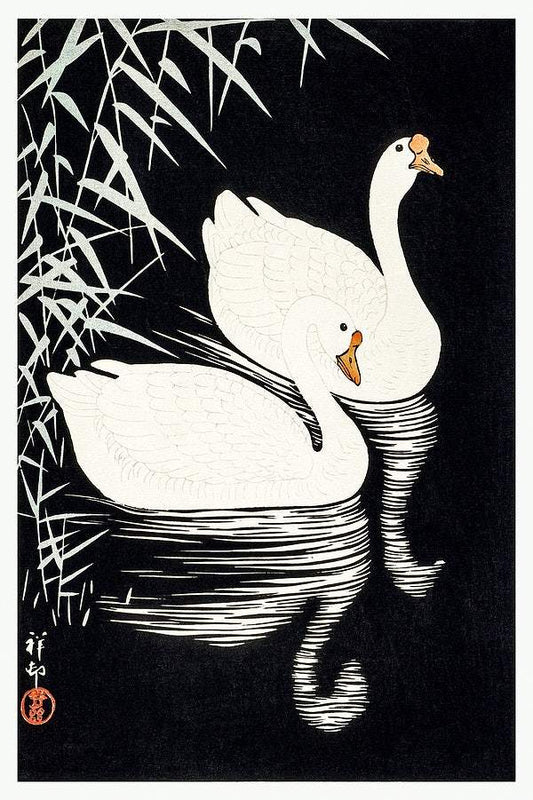 White Chinese Geese Swimming by Reeds by (1928) Ohara Koson