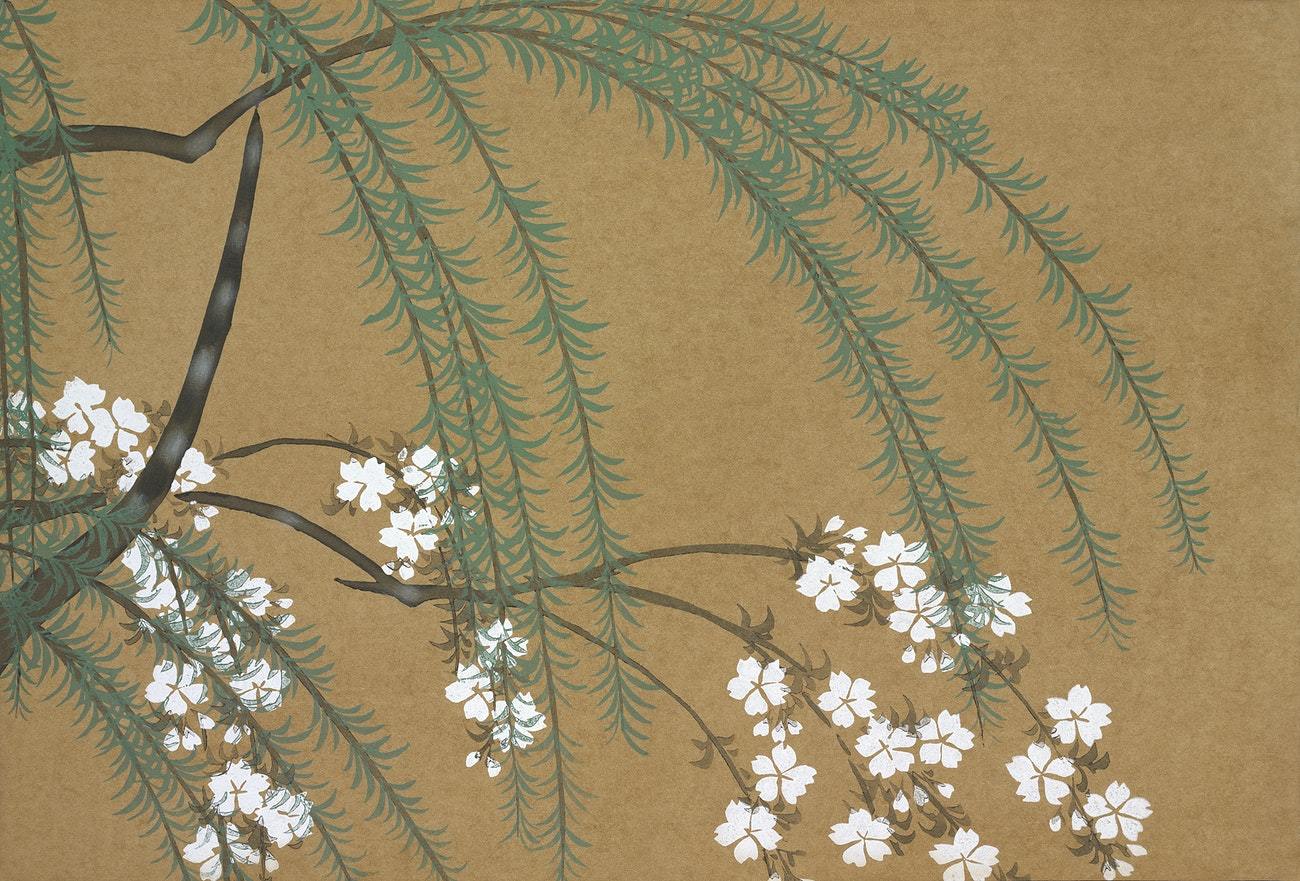 Blossoms from Momoyogusa by Kamisaka Sekka