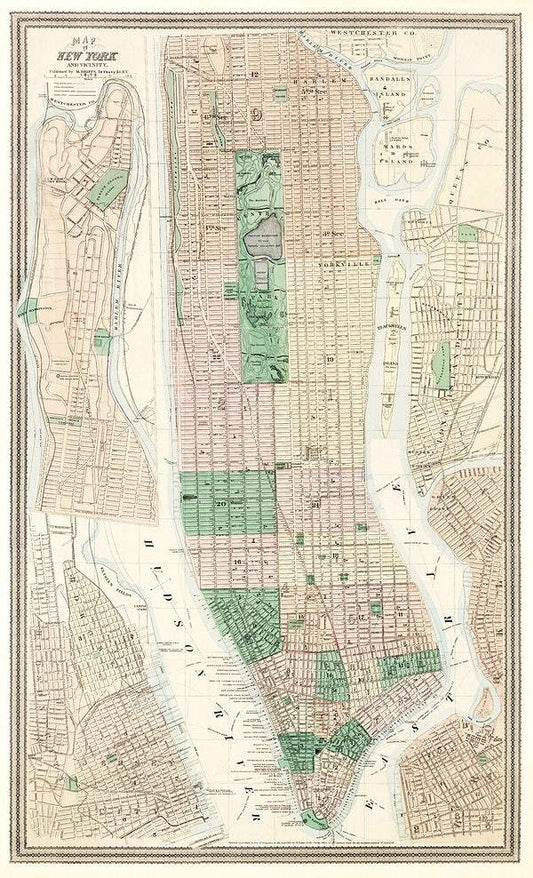 Map of New York and Vicinity (1869) by Matthew Dripps