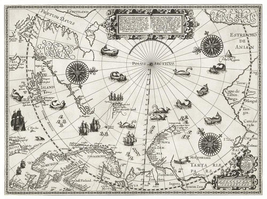Kaart van het Noordpoolgebied (1598) by Willem Barendsz