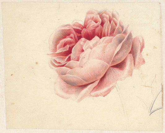 Bloom by George Jacobus Johannes van Os 1792