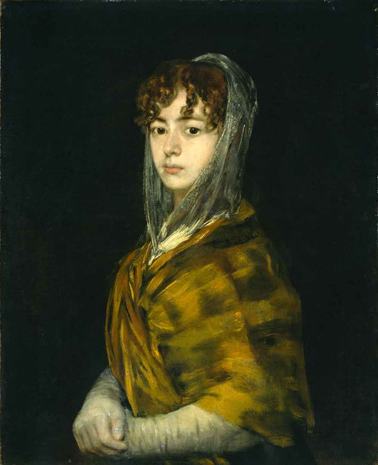 Señora Sabasa Garcia by Francisco de Goya 1811