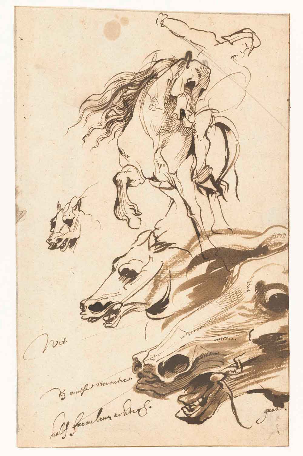 Horse Studies by Anthony van Dyck 1620