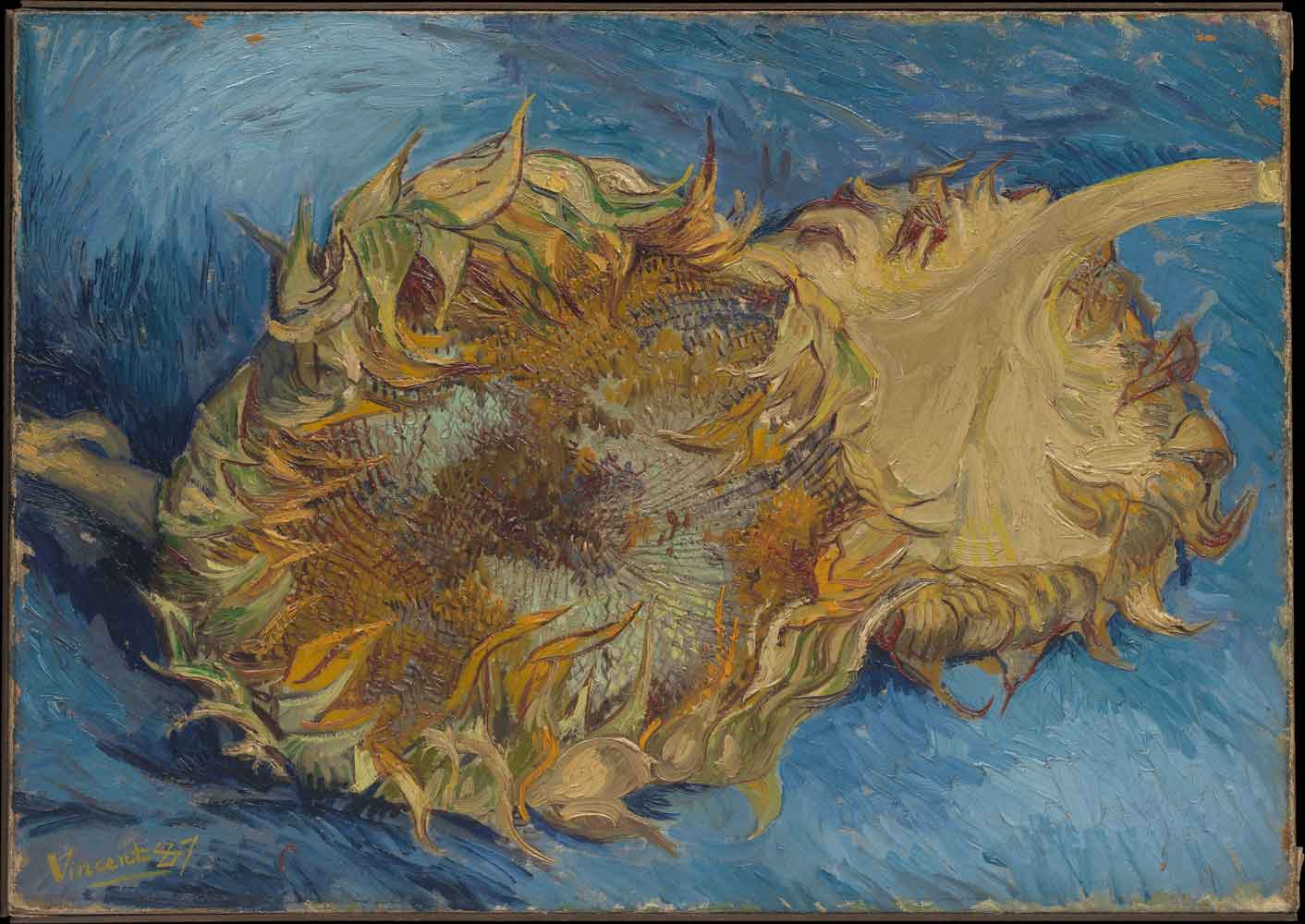 Sunflowers by Vincent van Gogh 1887