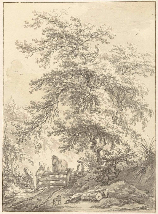 Drawing of Tree by Edward Lear 1755
